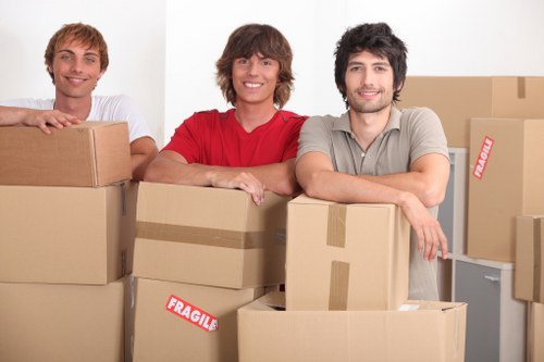 Local moving truck helping with furniture transport near Crystal Palace