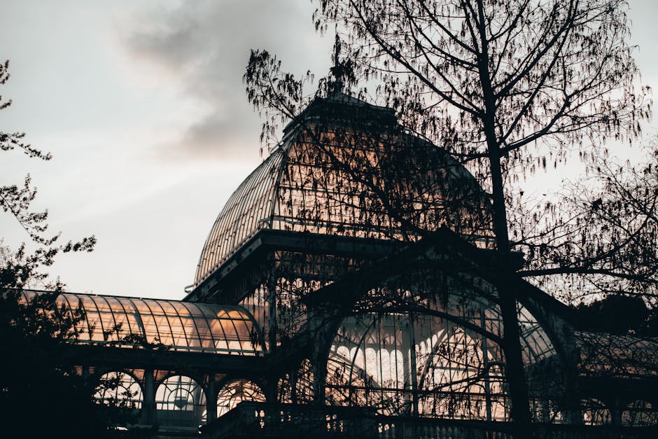 Photograph of a modern glass conservatory with curved, transparent panels supported by a black metal framework, situated outdoors surrounded by leafless trees. The conservatory's structure is visible through the branches and casts shadows on the ground. The scene appears to be taken during the late afternoon or early evening, with a cloudy sky overhead. This setting may relate to home relocation or furniture transport activities involved in house removals, as the glass structure could be part of a property's extension or garden feature. The presence of trees and outdoor environment suggests preparation for moving or packing in a residential context, with the focus on the conservatory's architectural design and surrounding natural elements. The image emphasizes the importance of careful handling and logistical planning during the loading process for house removals, as featured by [COMPANY_NAME].